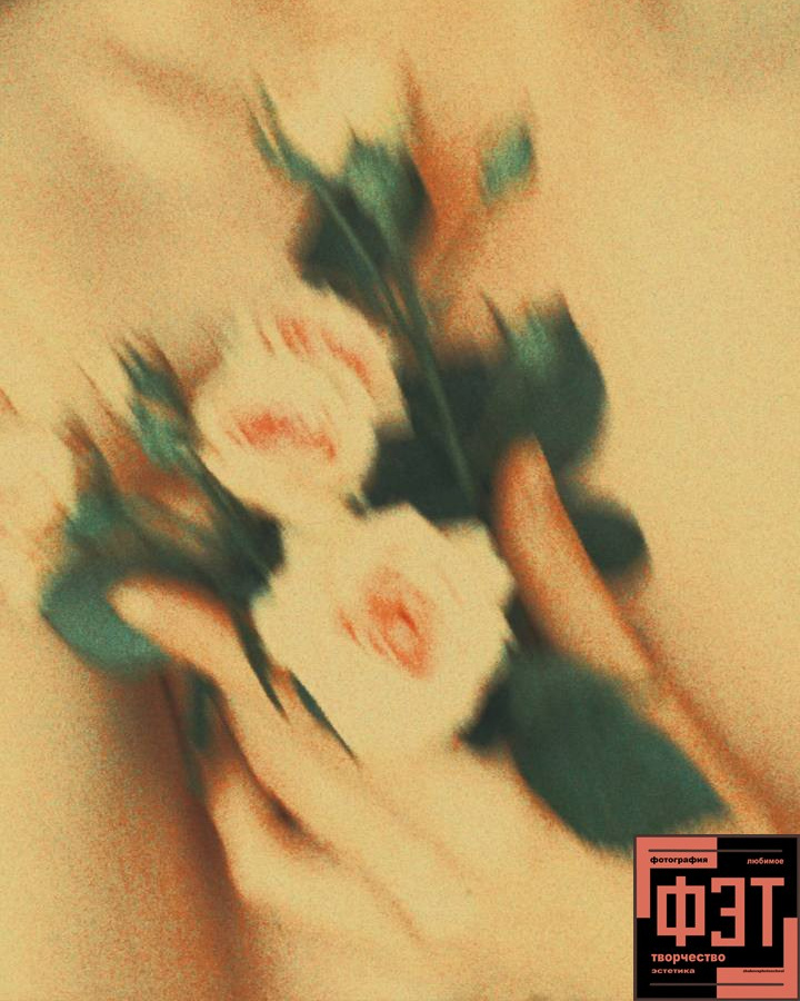 Альбом 18.01.26 проект ФЭТ