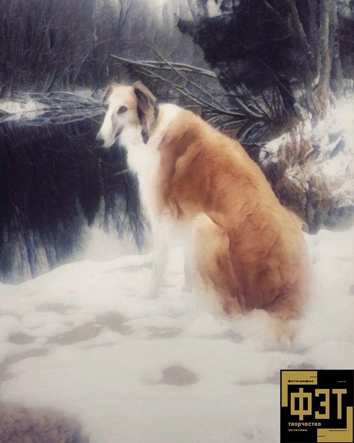 Наталья Переверзева