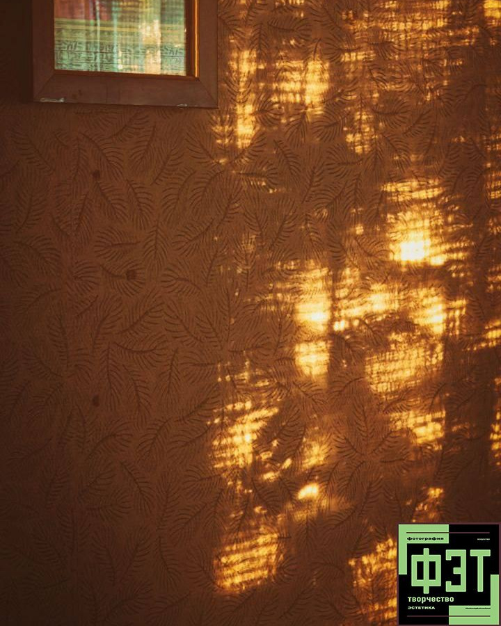 Альбом от 30.11.25 в рамках фотоконкурса ФЭТ: Фотография Эстетика Творчество