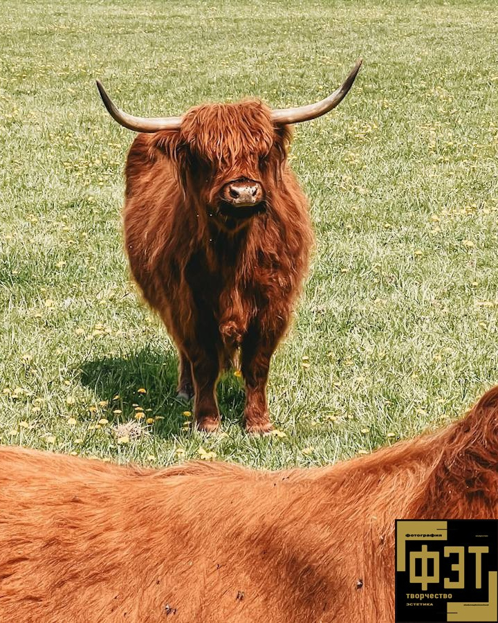 Выбор зрителей. Альбом 11.01.26