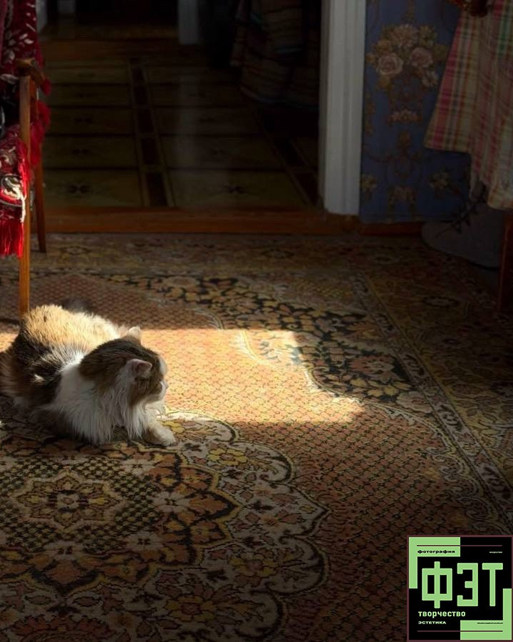 Альбом 12.04.26 в рамках ФЭТ