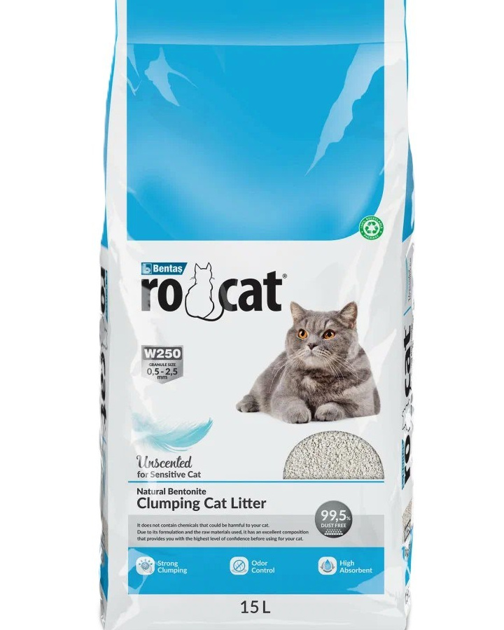 Котёнок американской бурмы. Las Burmas — питомник американской бурмы традиционных линий