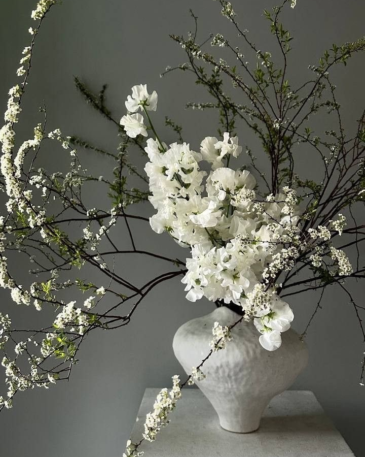 CKflora