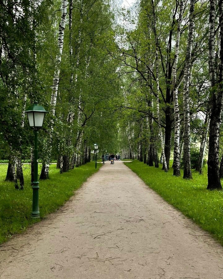 Усадьбы. Экскурсовод по Москве Беляева Валентина