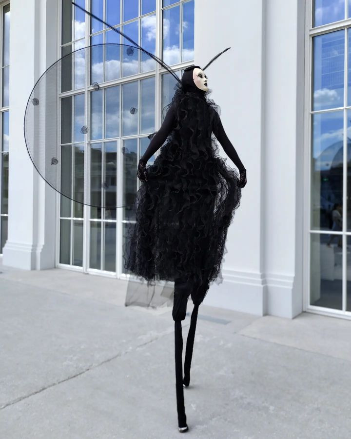 Ходулист в образе чёрной мухи или бабочки с крыльями на встречу гостей