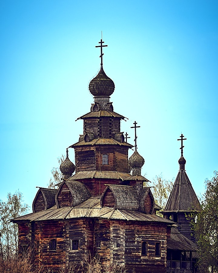 Объектив как кисть художника. НЕЙРО-АРТы Воеводова