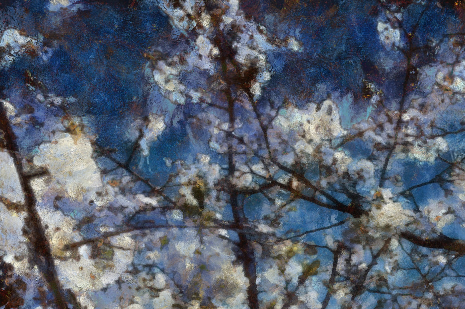 КРАСОТА. Роман Ходырев — эзотериолог, художник, фотограф и музыкант. Санкт-Петербург, Рига