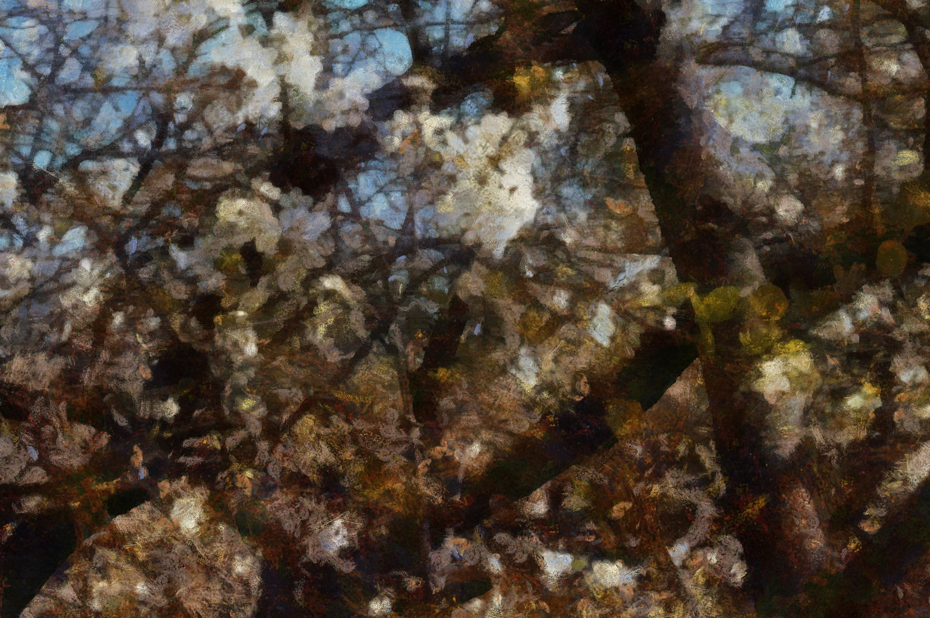 КРАСОТА. Роман Ходырев — эзотериолог, художник, фотограф и музыкант. Санкт-Петербург, Рига