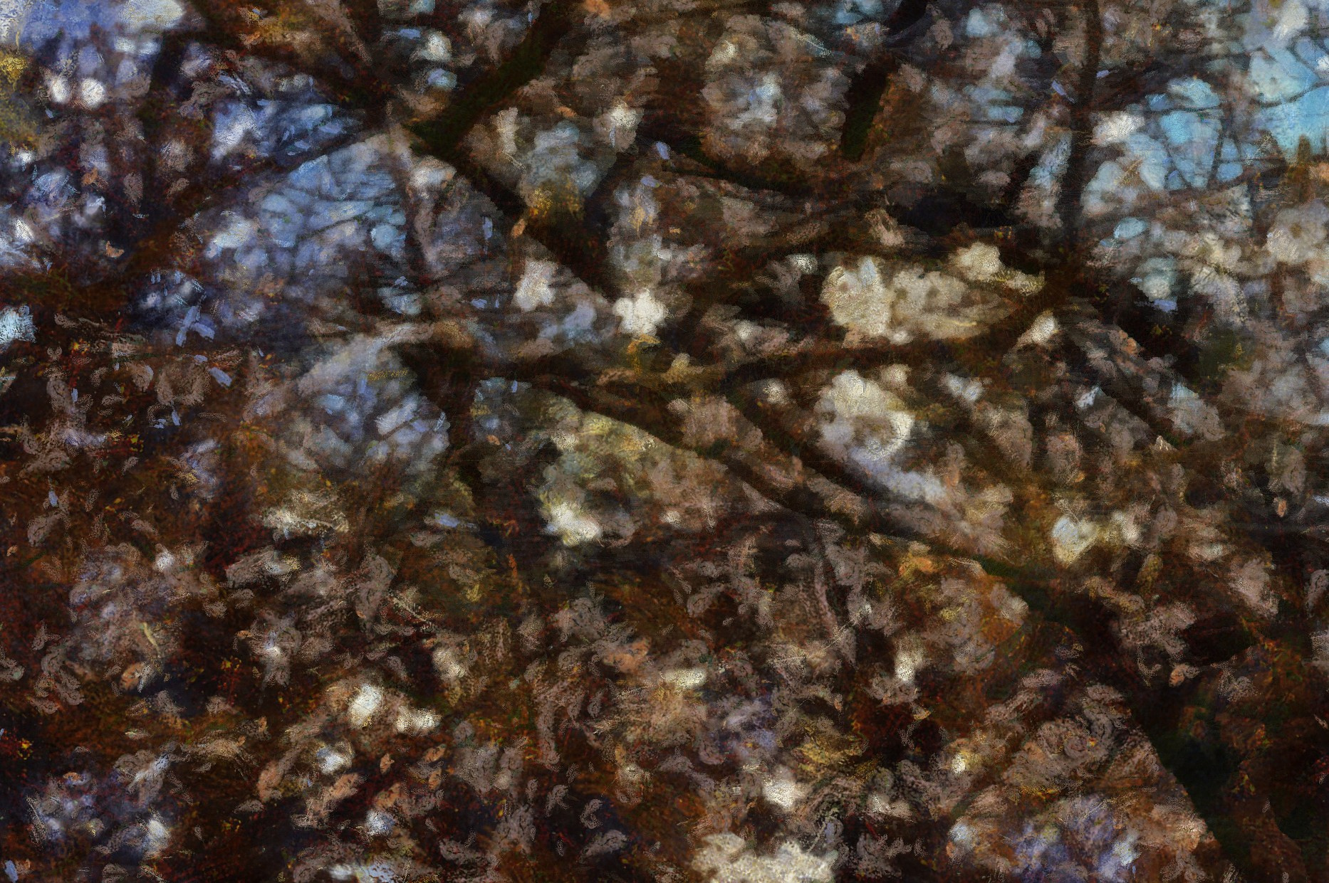 КРАСОТА. Роман Ходырев — эзотериолог, художник, фотограф и музыкант. Санкт-Петербург, Рига