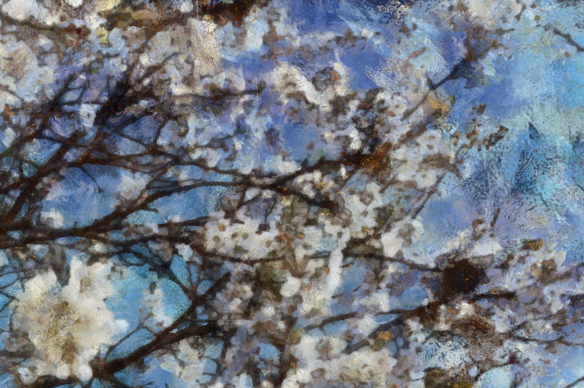 КРАСОТА. Роман Ходырев — эзотериолог, художник, фотограф и музыкант. Санкт-Петербург, Рига