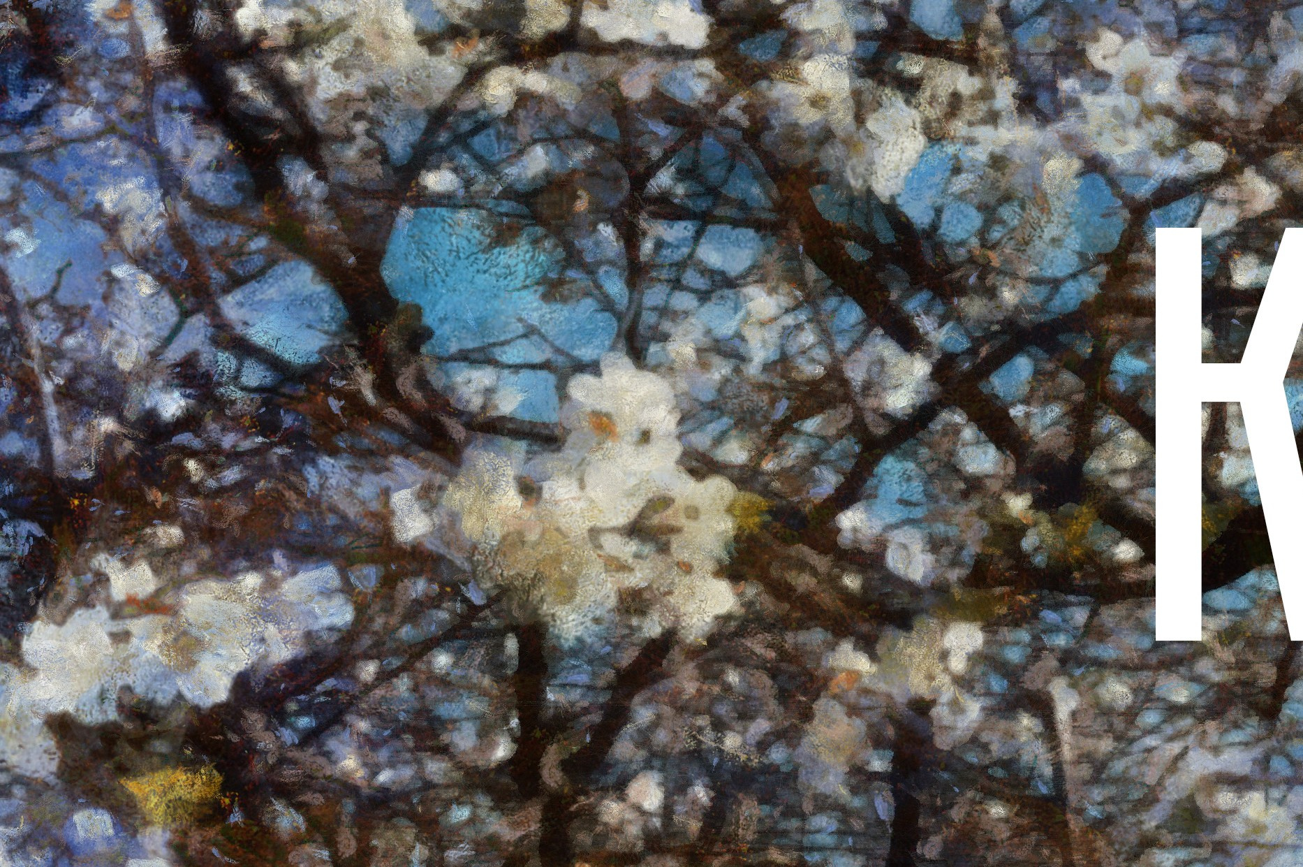 КРАСОТА. Роман Ходырев — эзотериолог, художник, фотограф и музыкант. Санкт-Петербург, Рига