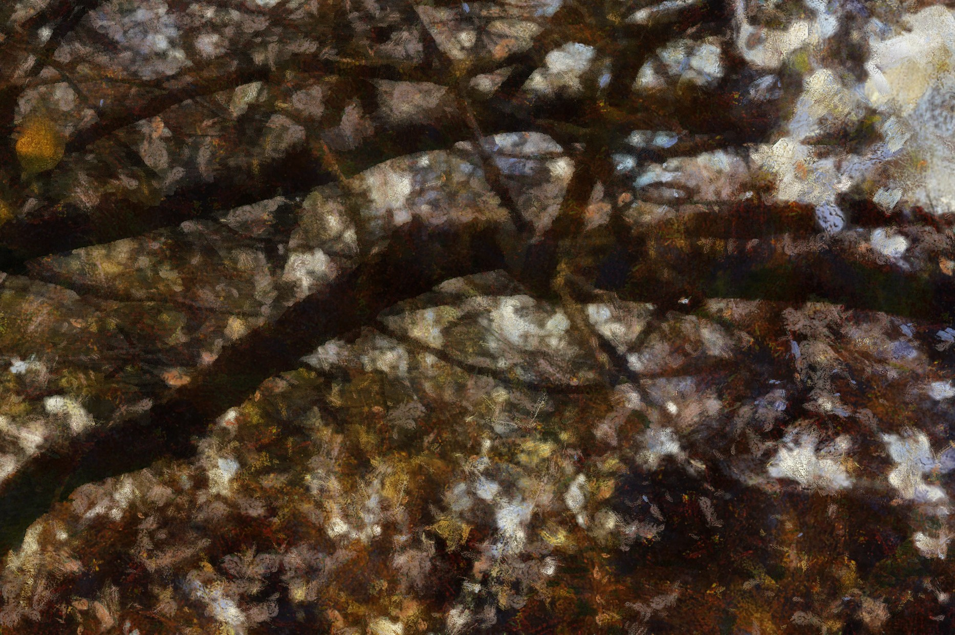 КРАСОТА. Роман Ходырев — эзотериолог, художник, фотограф и музыкант. Санкт-Петербург, Рига