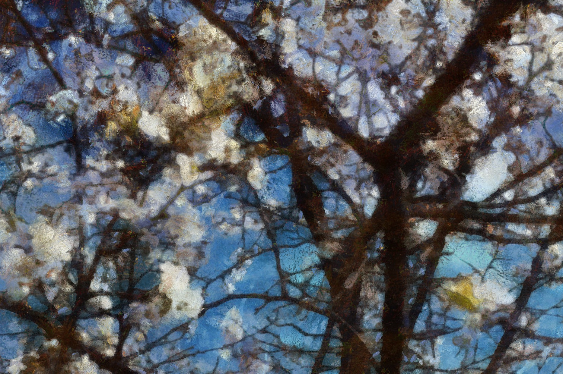 КРАСОТА. Роман Ходырев — эзотериолог, художник, фотограф и музыкант. Санкт-Петербург, Рига