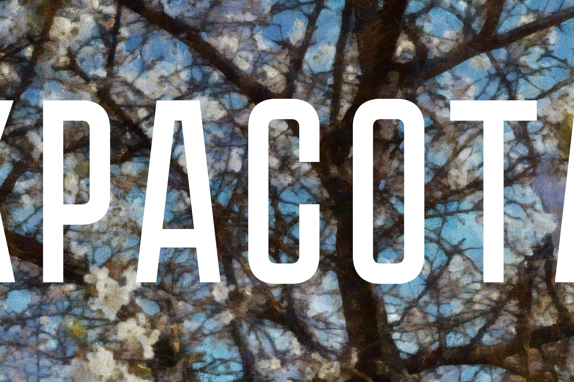 КРАСОТА. Роман Ходырев — эзотериолог, художник, фотограф и музыкант. Санкт-Петербург, Рига