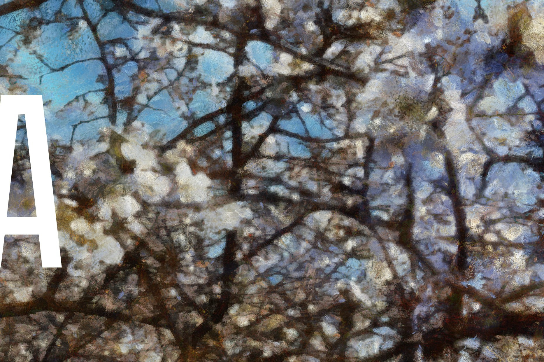 КРАСОТА. Роман Ходырев — эзотериолог, художник, фотограф и музыкант. Санкт-Петербург, Рига