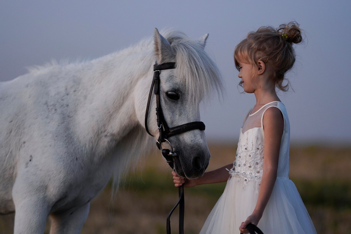 Съёмки с животными. ФОТОГРАФ АЛИСА КОНЕВА КБР