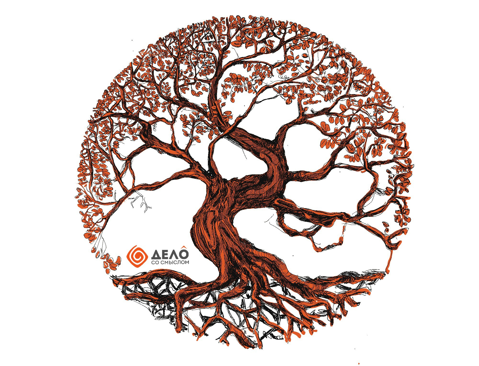 Образовательные программы, курсы и проекты. Дело со Смыслом