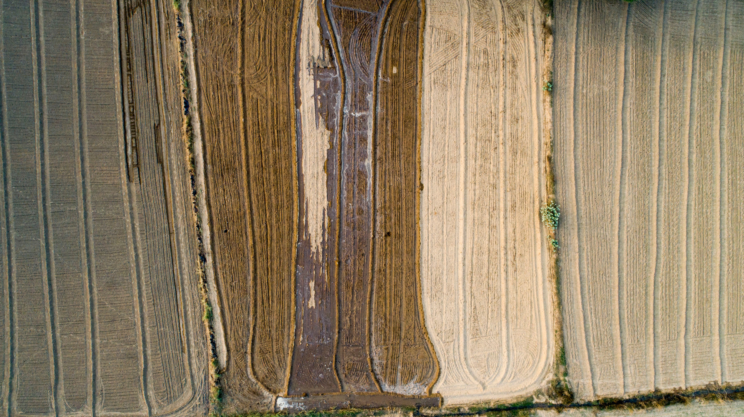 Индивидуальная работа с голосом