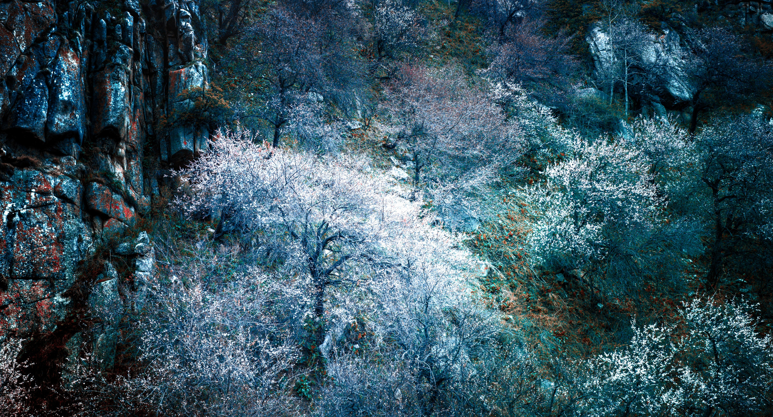 FLORA GENESIS. Картины о красоте, культурных ценностях и традициях Казахстана