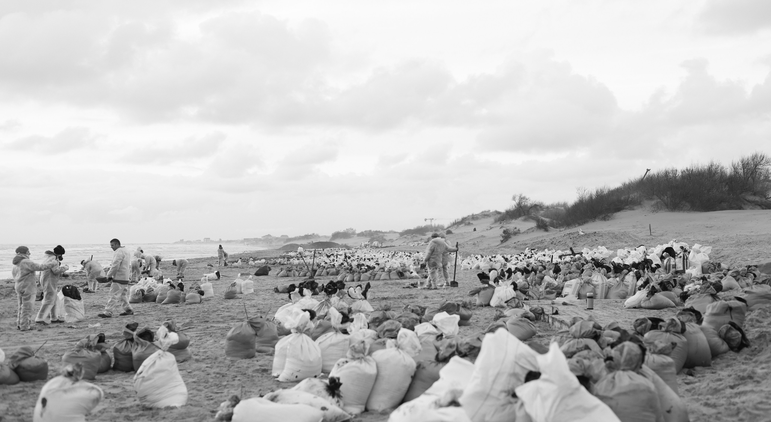 Фотовыставка «Черное море» | nasa loseva