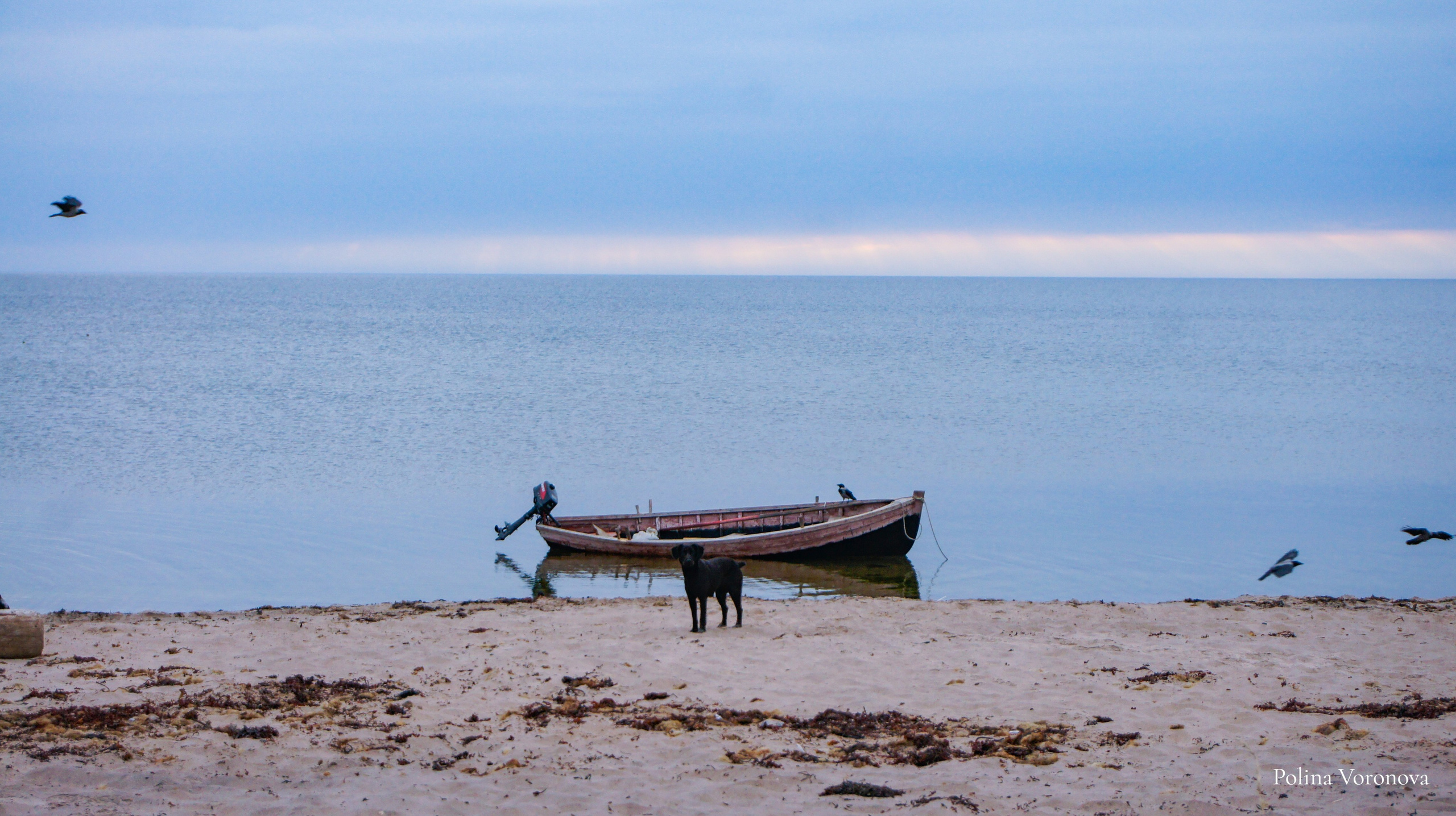 Арктика: ближе, чем кажется | Фотовыставка. Хорошая экспедиция