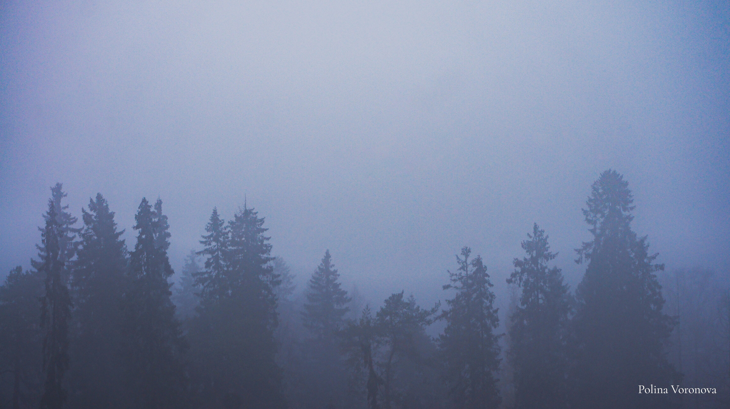 Арктика: ближе, чем кажется | Фотовыставка. Хорошая экспедиция