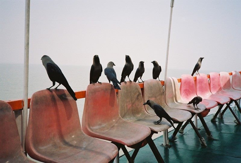 Стоимость, опции и программа школы Walking art