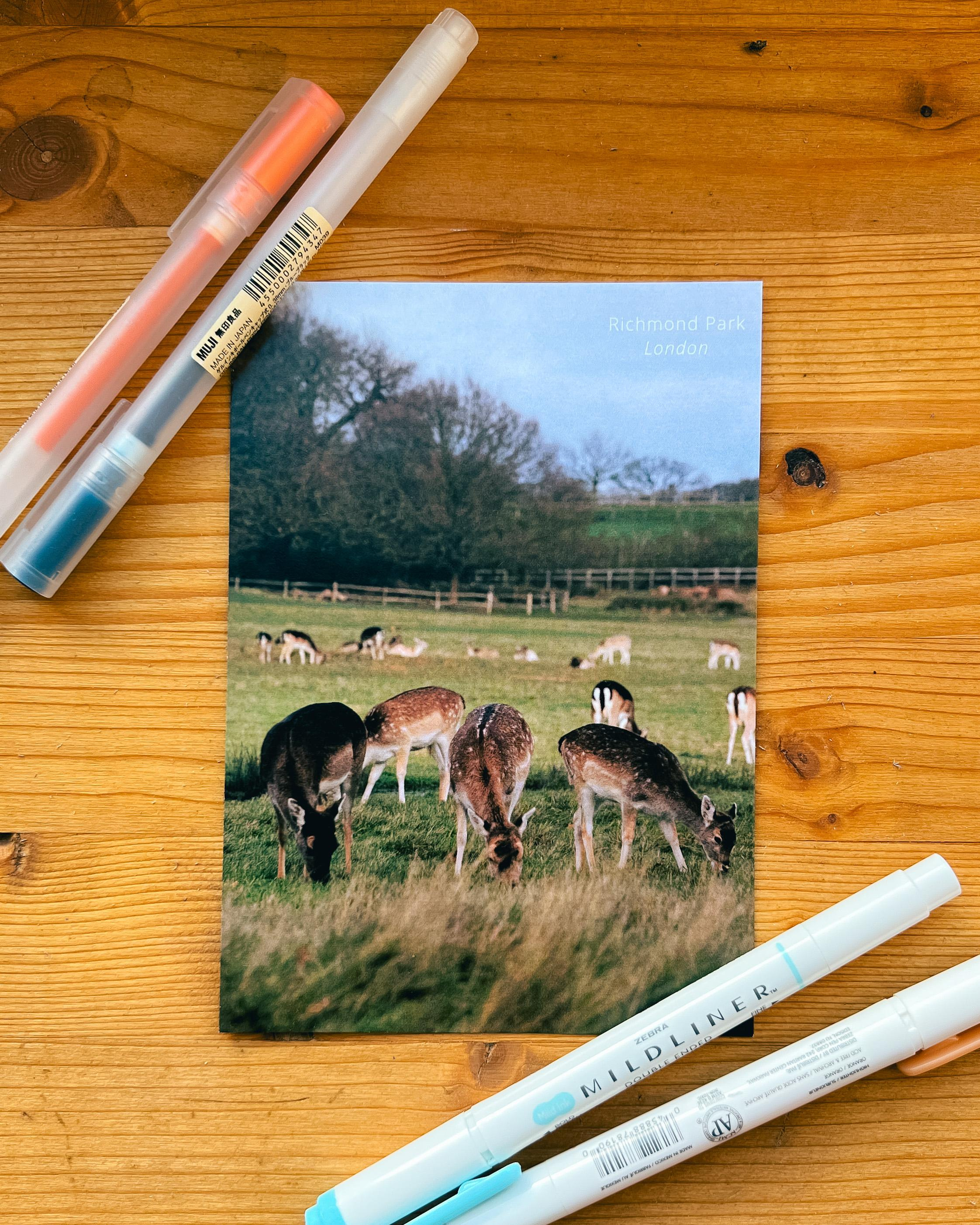 Открытки. Фотограф и ретушер Санкт-Петербург