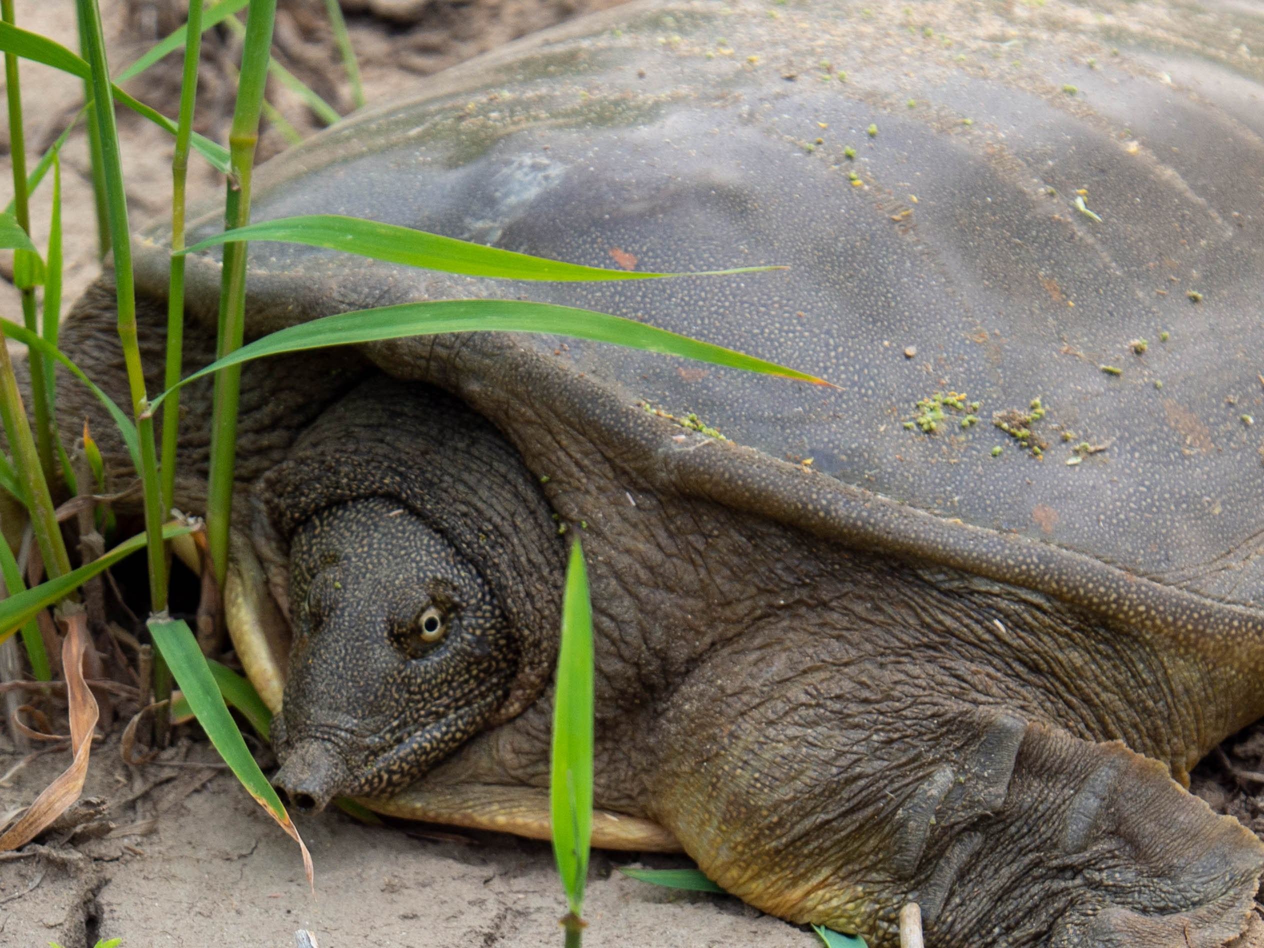 Дальний Восток — природа и достопримечательности