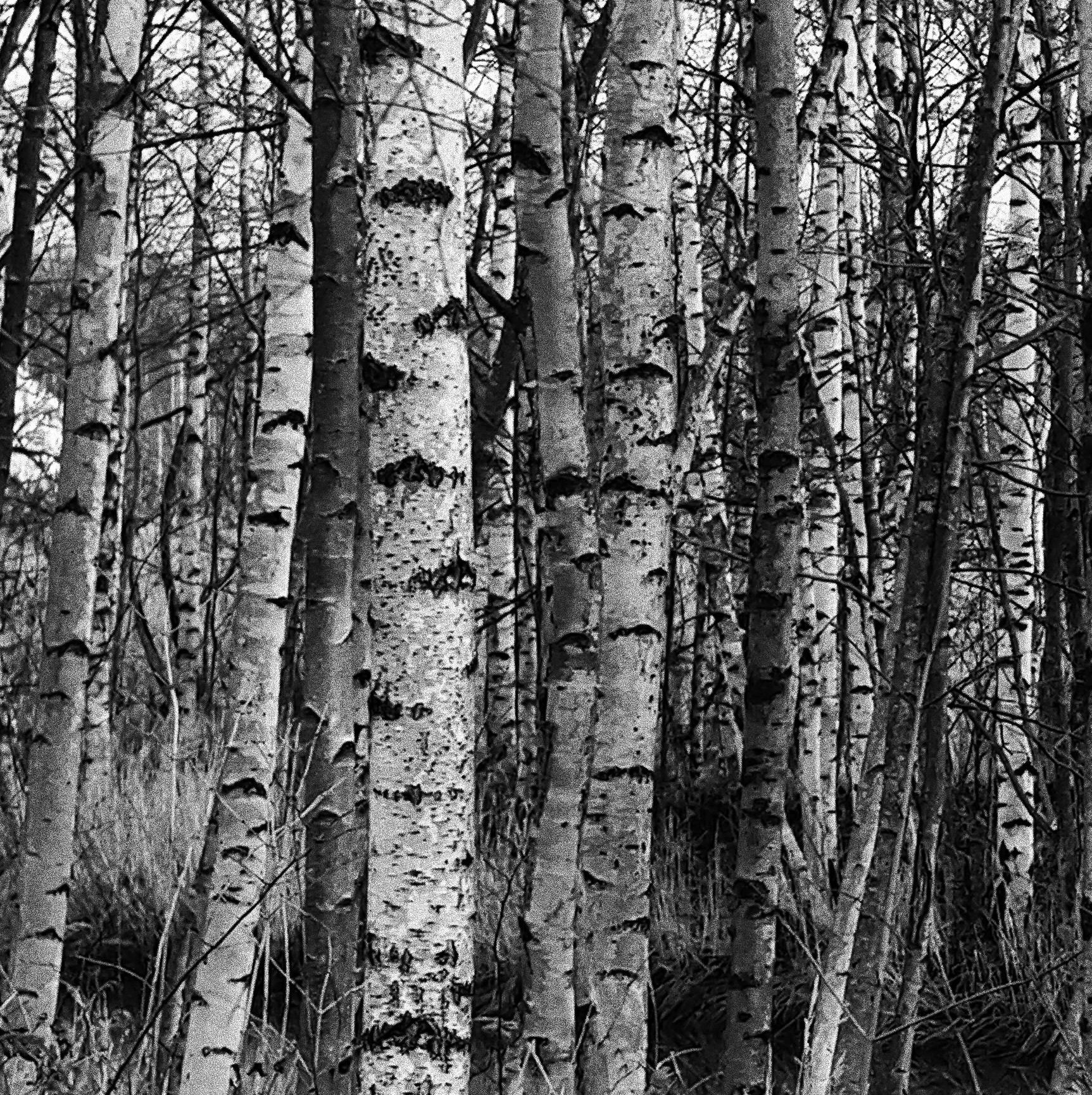 Маркетинговое агенство by Анастасия Садовская