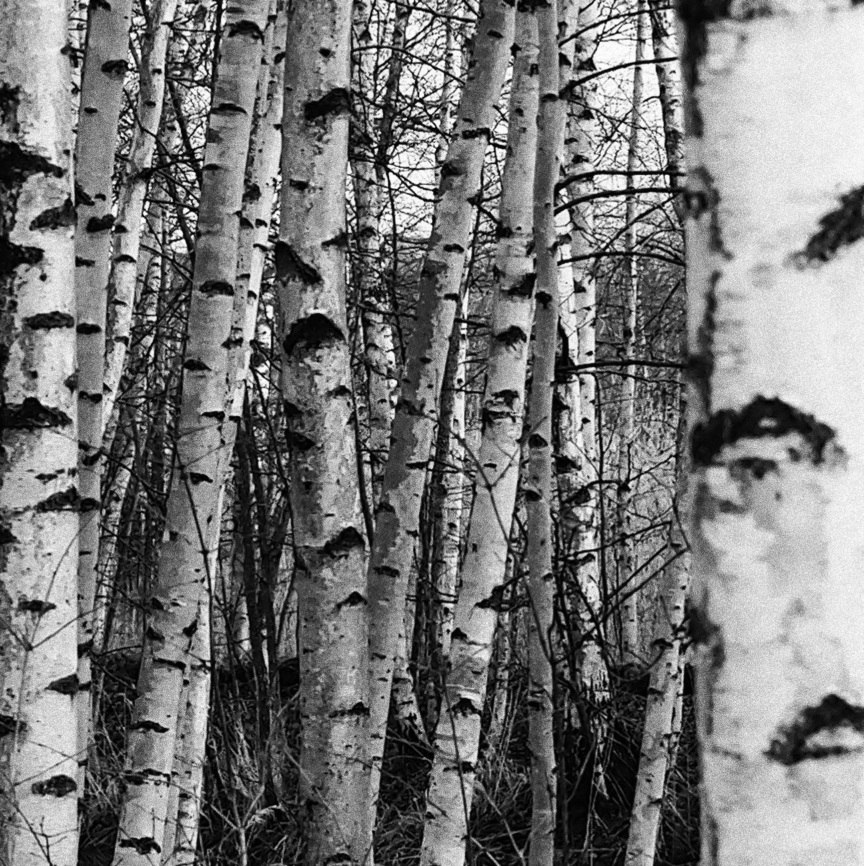 Маркетинговое агенство by Анастасия Садовская