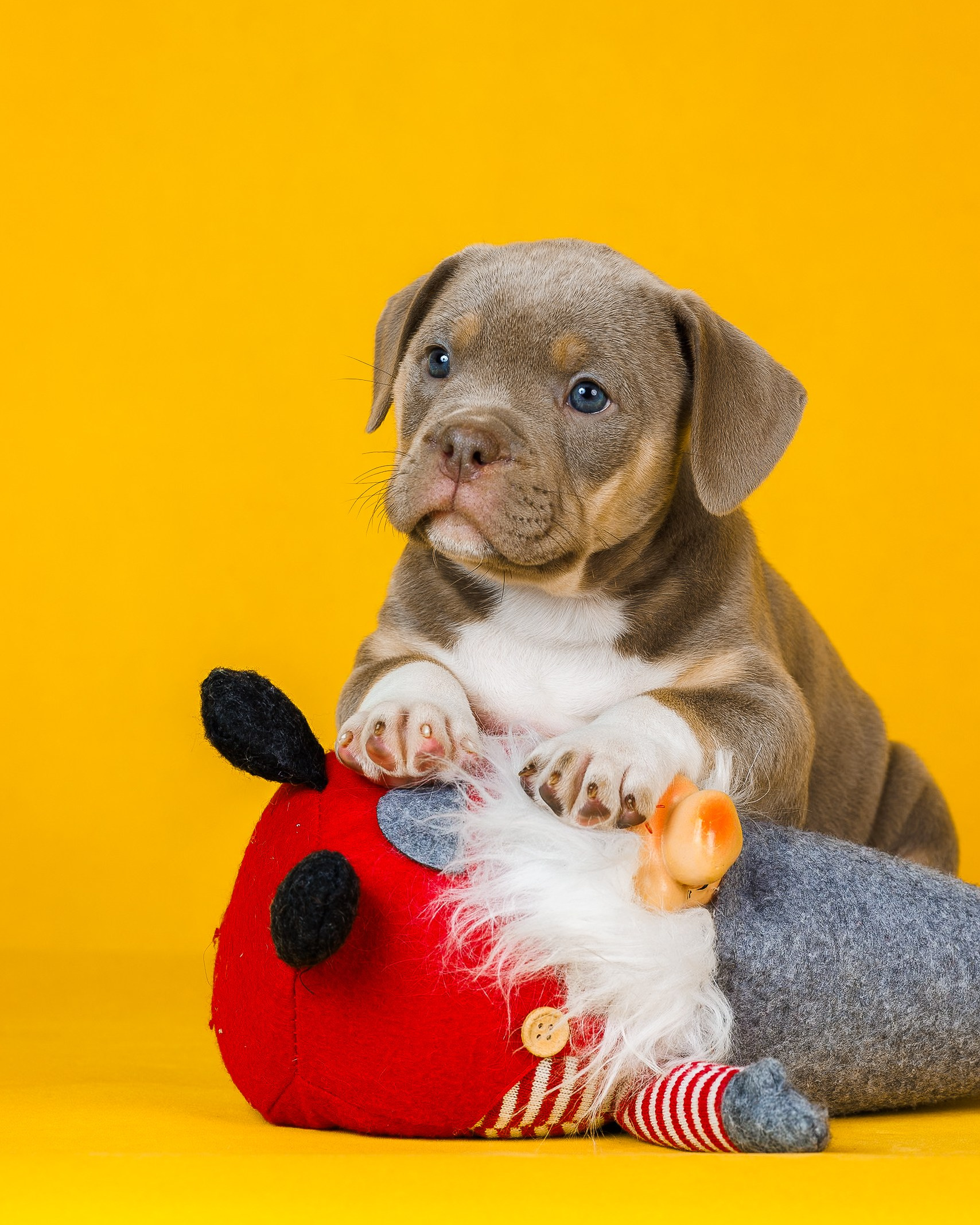 Съёмка помёта. Фотограф