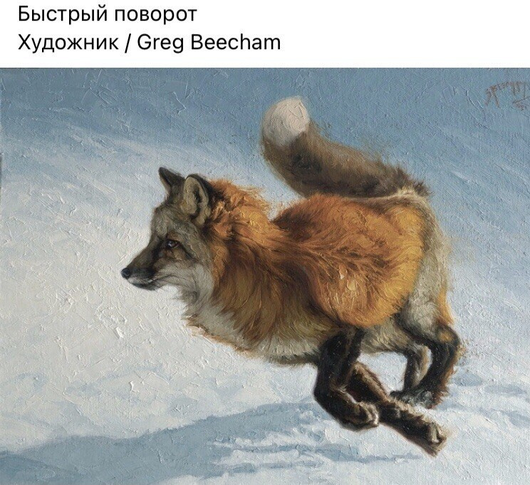 Фактура в живописи. Пашунеску Ксения: Фотограф | Фотосессия в Анапе