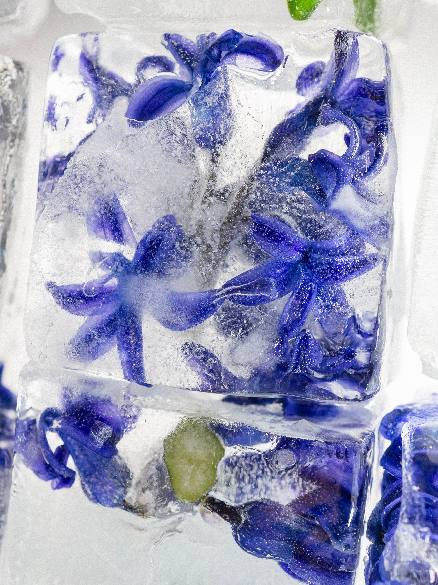 FFF — Frozen Fairy Flower. Фотограф в Санкт-Петербурге Анна Гончар