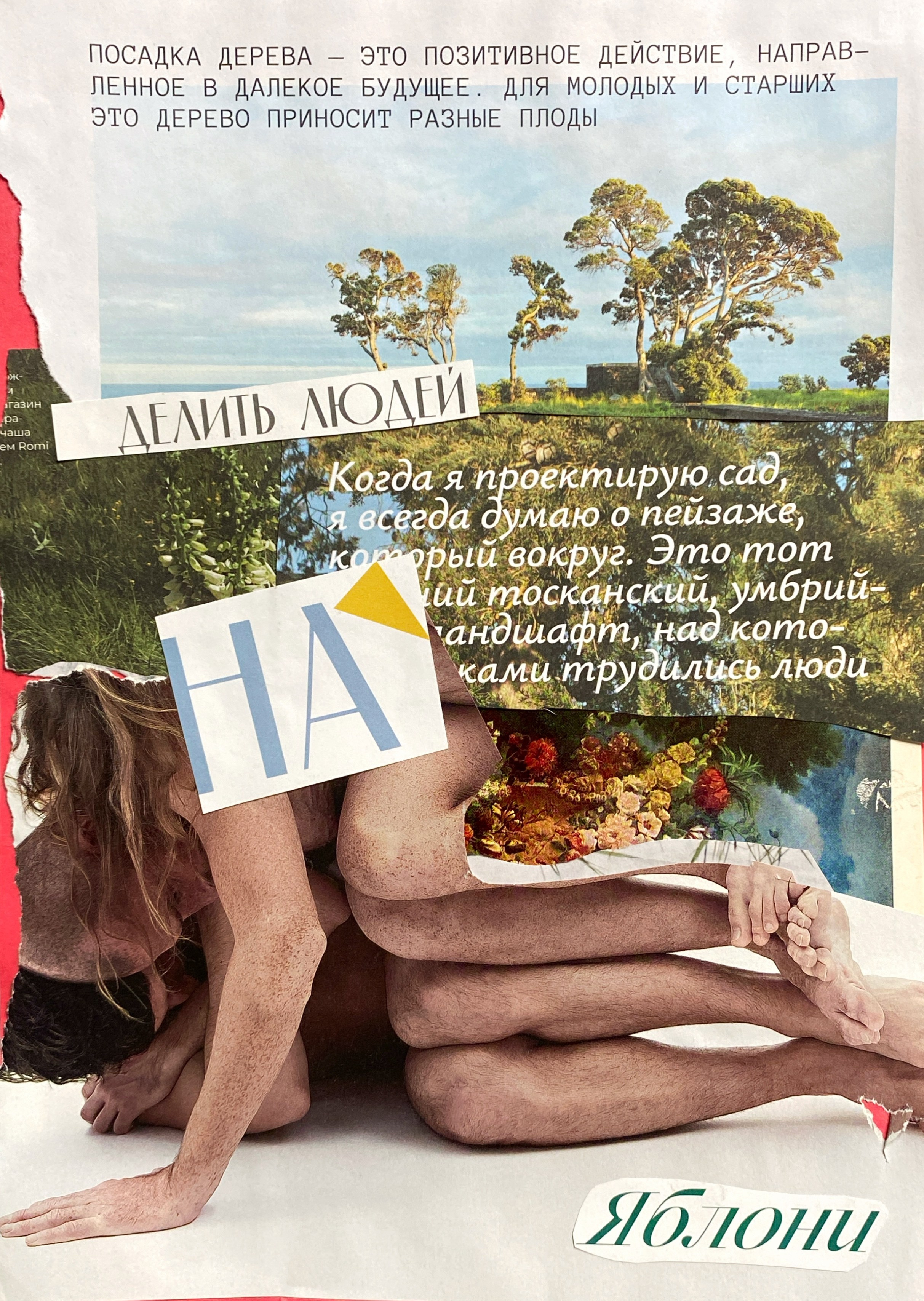 Shop. Мультидисциплинарная художница