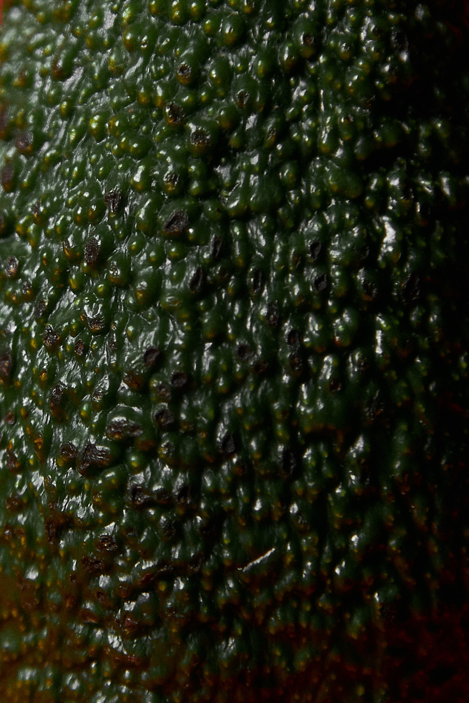 Работы. Фотограф тюмень москва ксения половодова