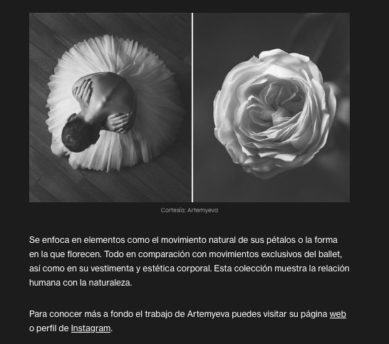 Press — all city canvas