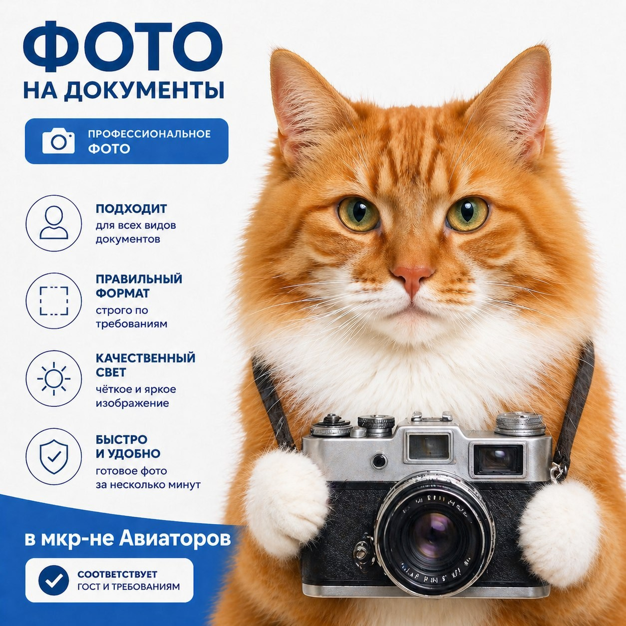 Фото на документы в Балашихе, микрорайон Авиаторов. Студия портрета «Рыжий кот»