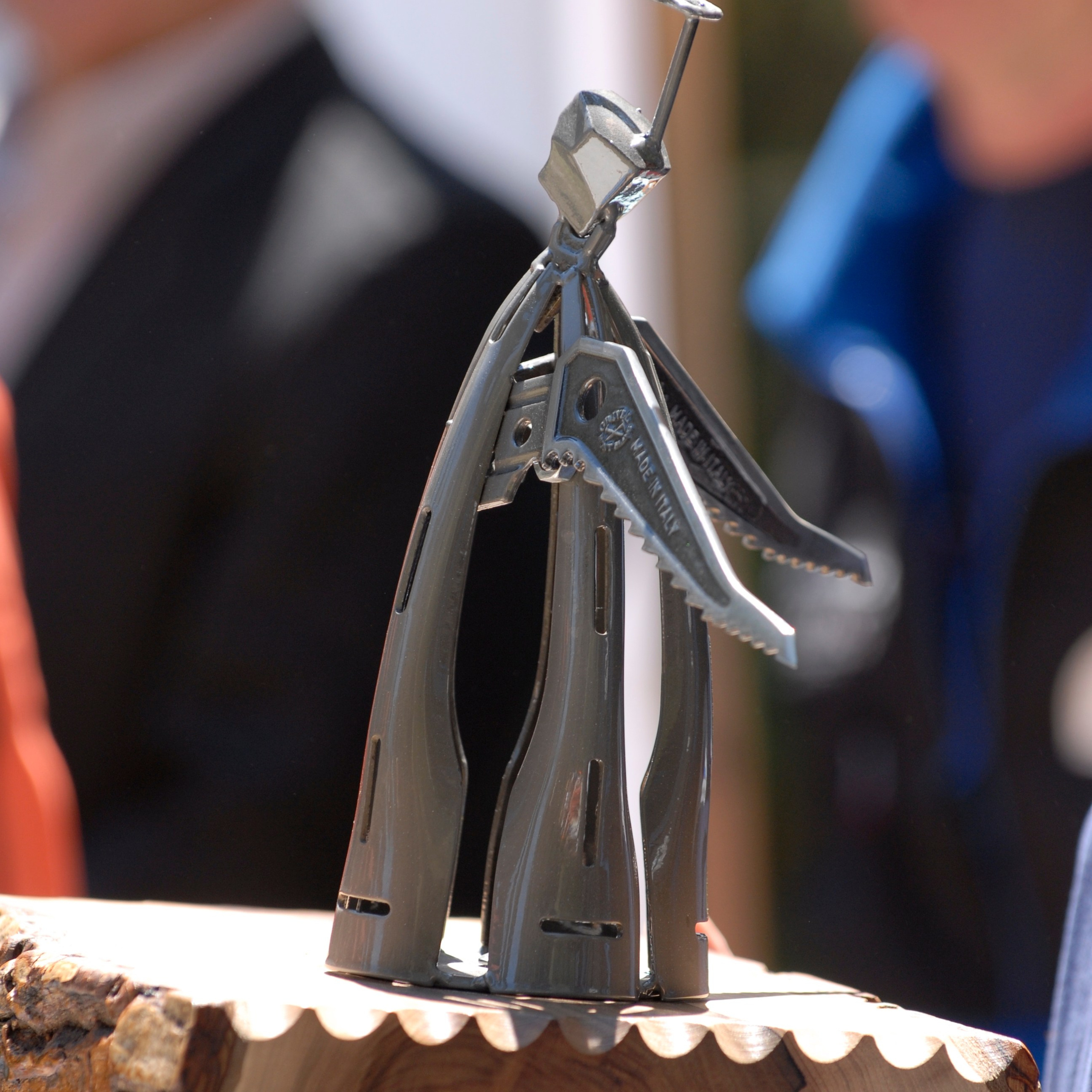 История. Премия Стальной Ангел