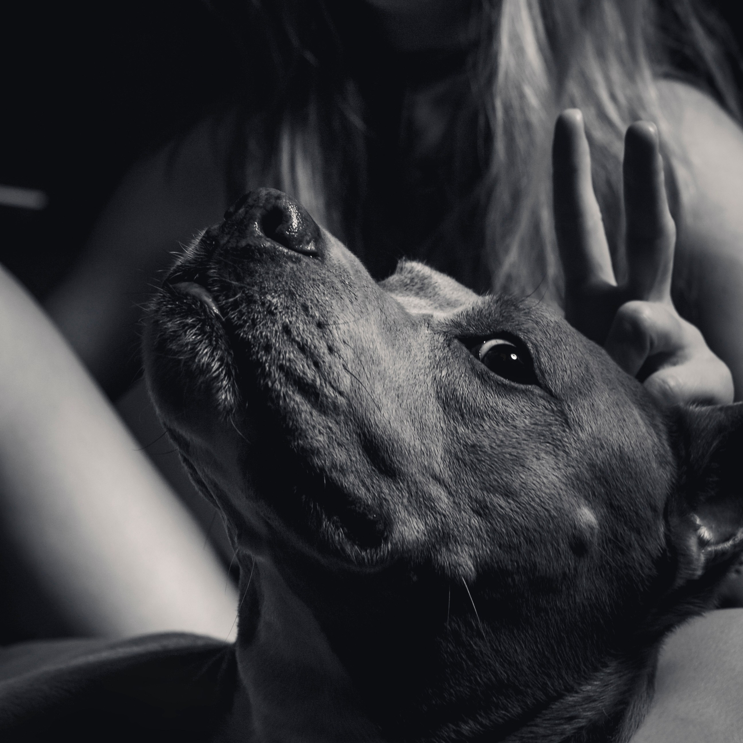 Фотограф Каримов Виктор