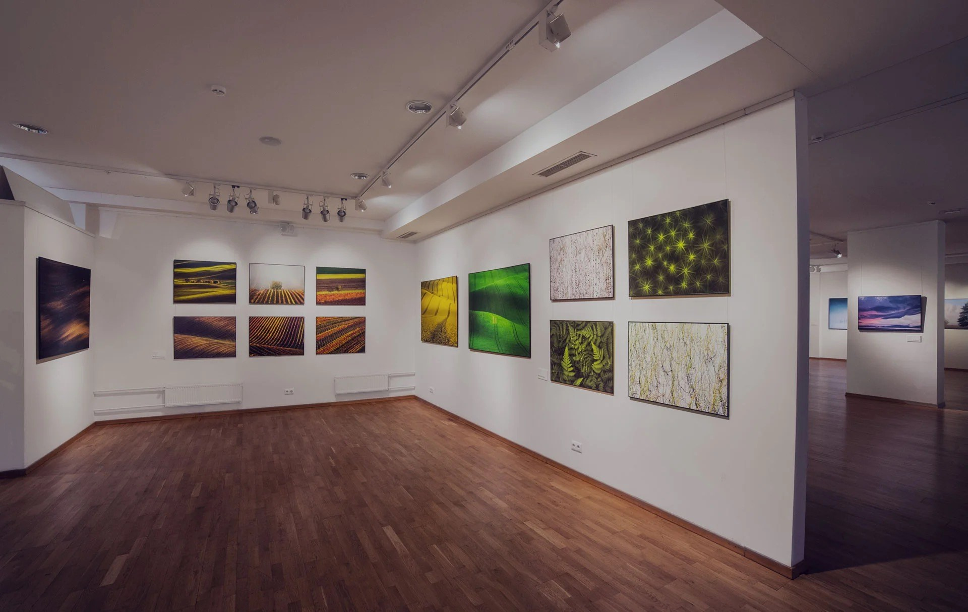 Проекты. Фотограф Константин Шамин