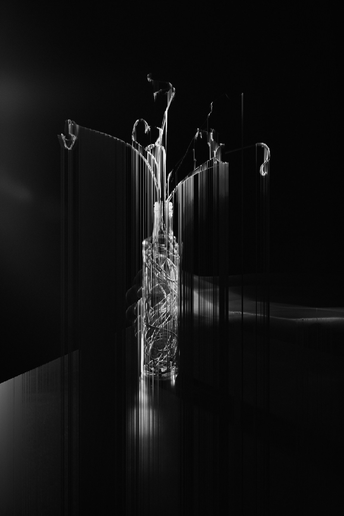 Теория струн. Фотограф и визуальная художница Софья Бондарь