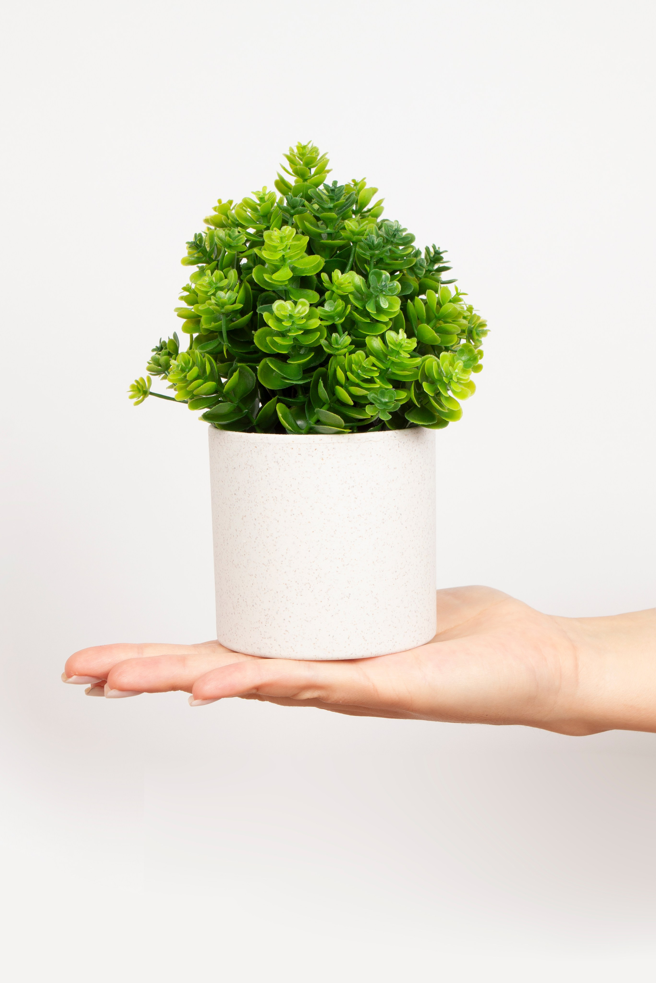 Предметная фотография. Фотограф Злата Спицына