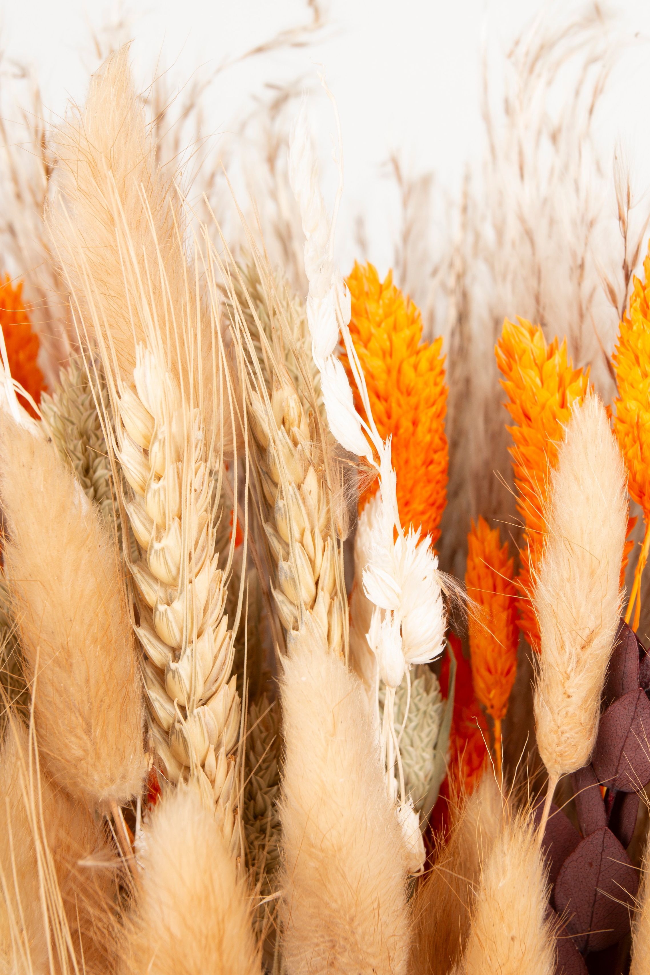 Предметная фотография. Фотограф Злата Спицына