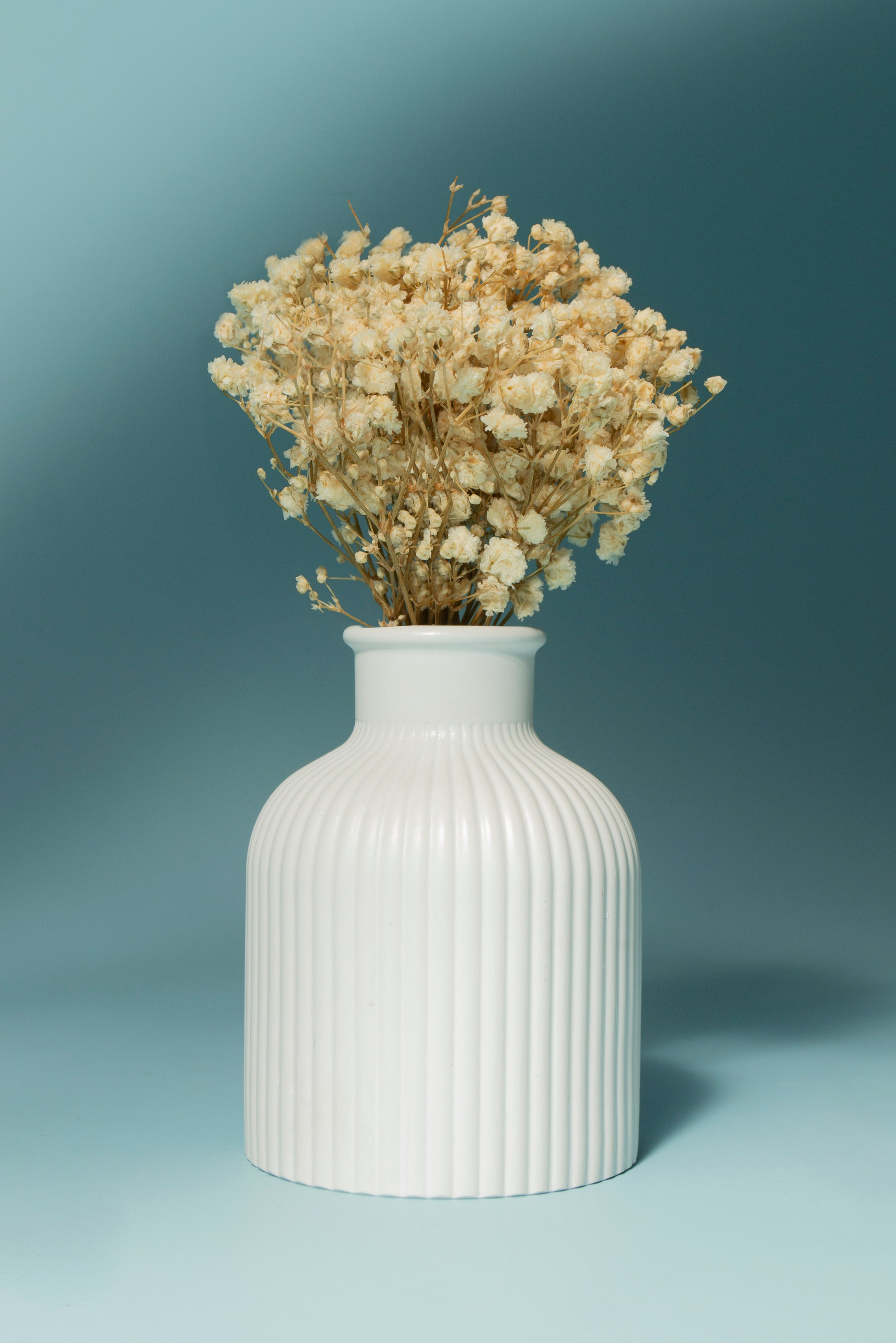 Предметная фотография. Фотограф Злата Спицына