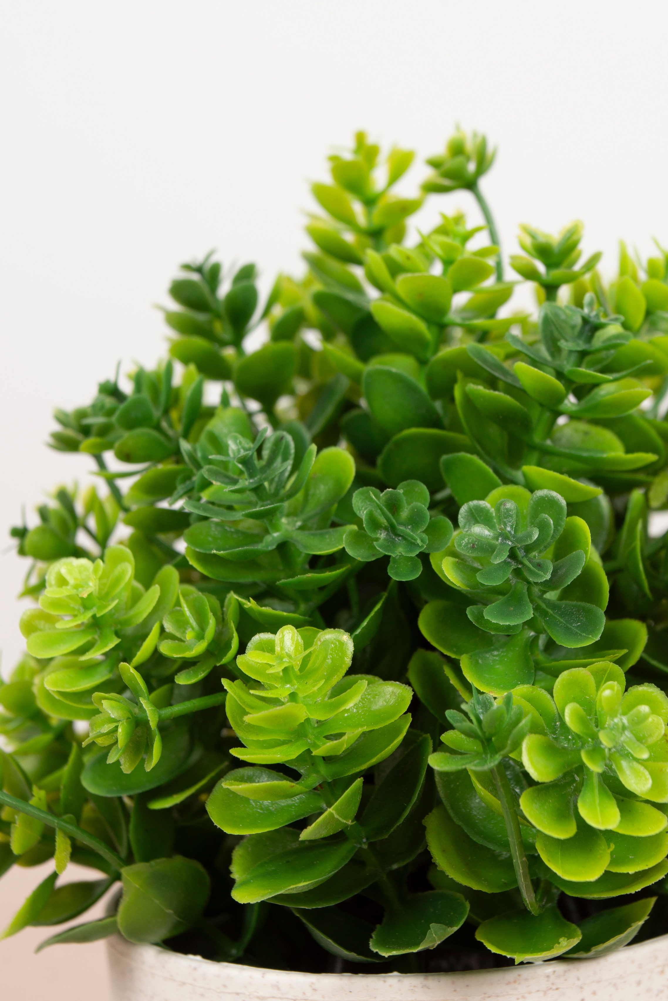 Предметная фотография. Фотограф Злата Спицына