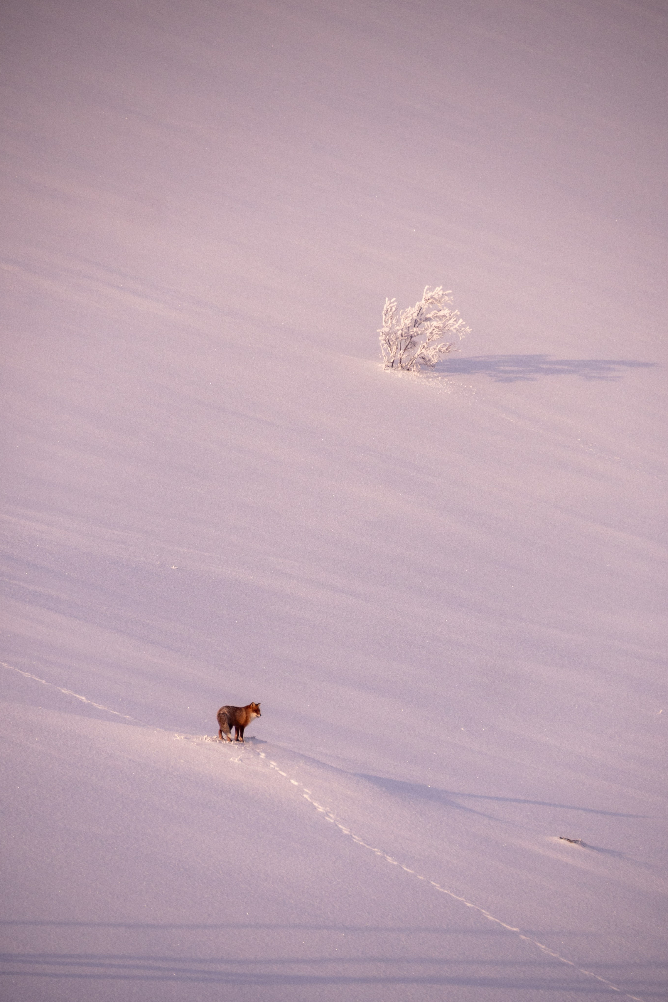 Наука путешествовать