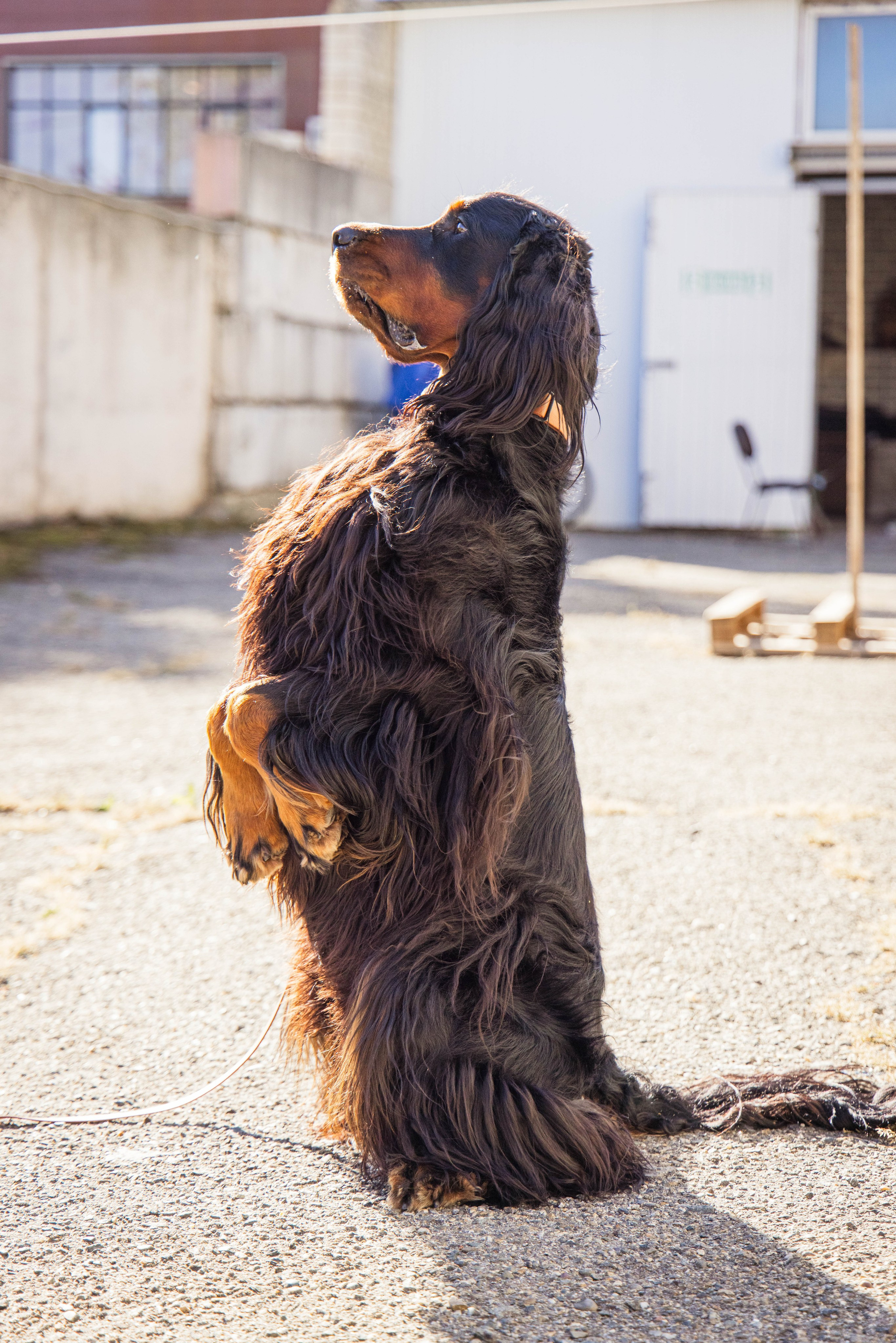 Антонина Савельева Фотограф Ставрополь