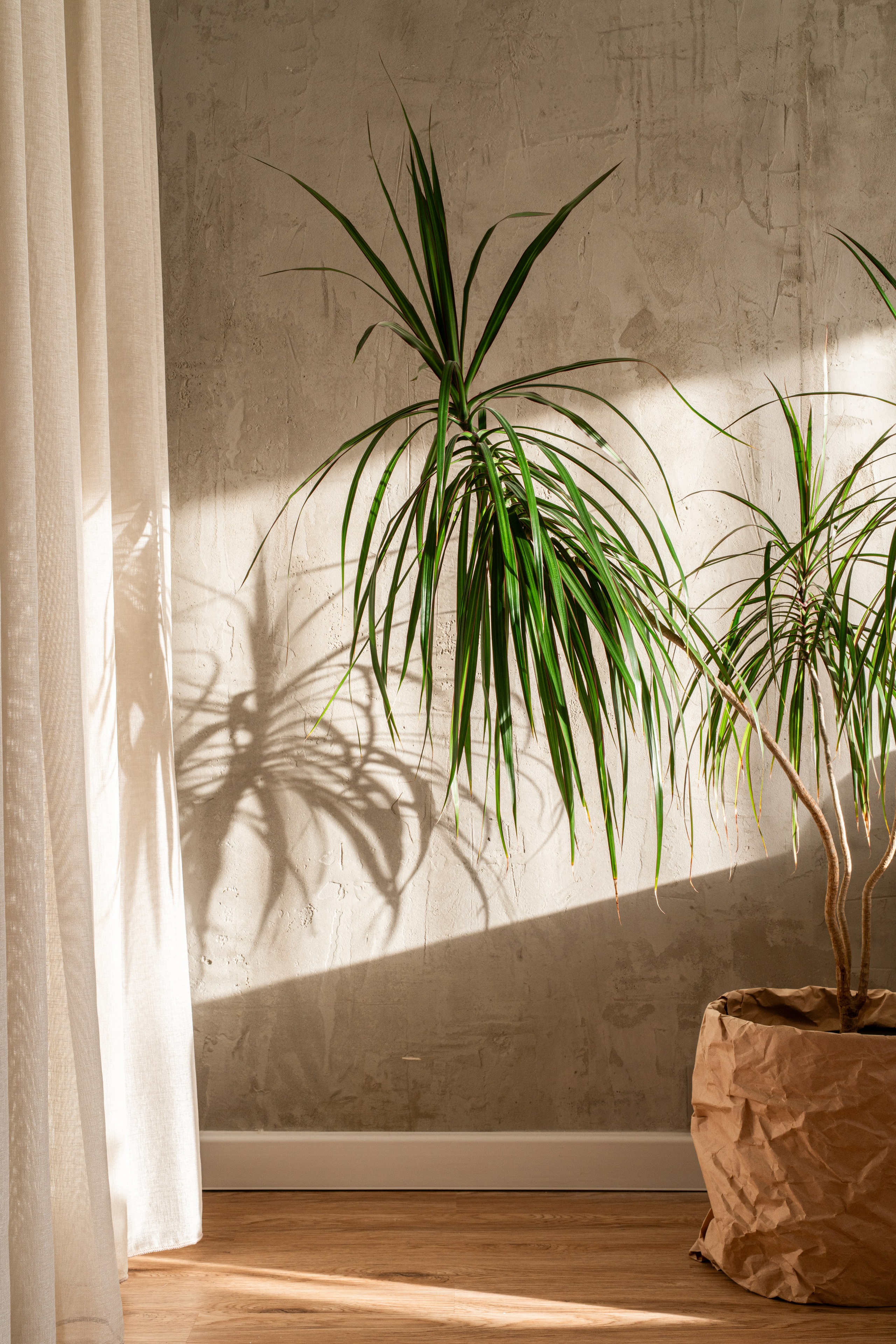 Editorial. Ksenia Inverse visual artist