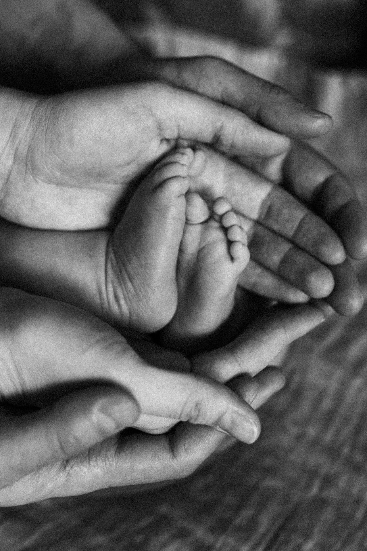 Услуги. Фотограф Барнаул Полина Теплова